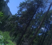 Montana2011  067